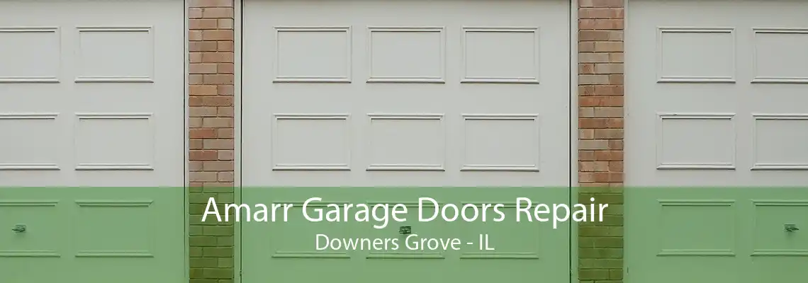 Amarr Garage Doors Repair Downers Grove - IL