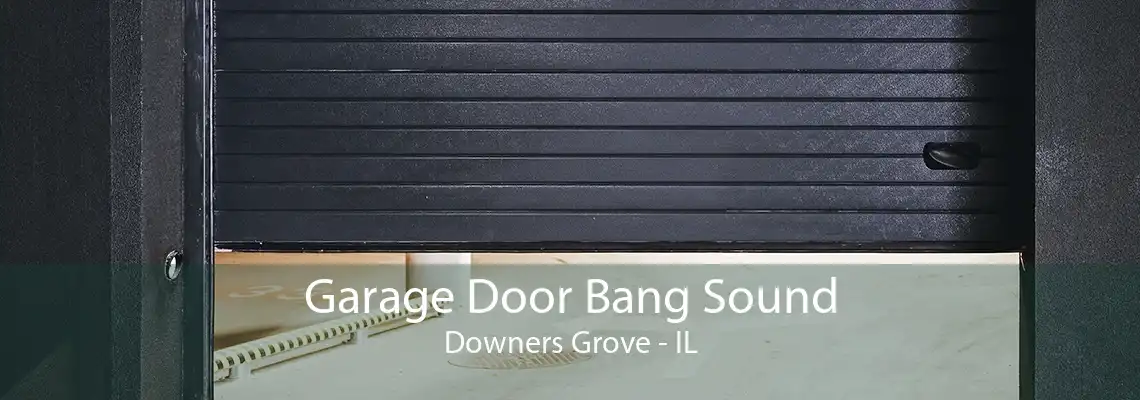 Garage Door Bang Sound Downers Grove - IL