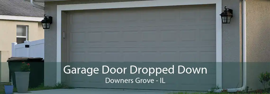 Garage Door Dropped Down Downers Grove - IL