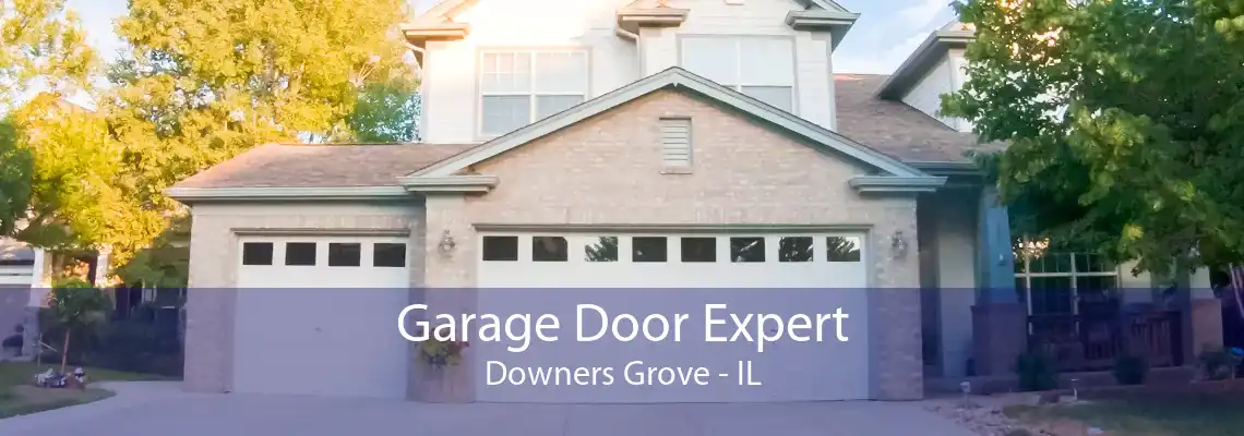 Garage Door Expert Downers Grove - IL