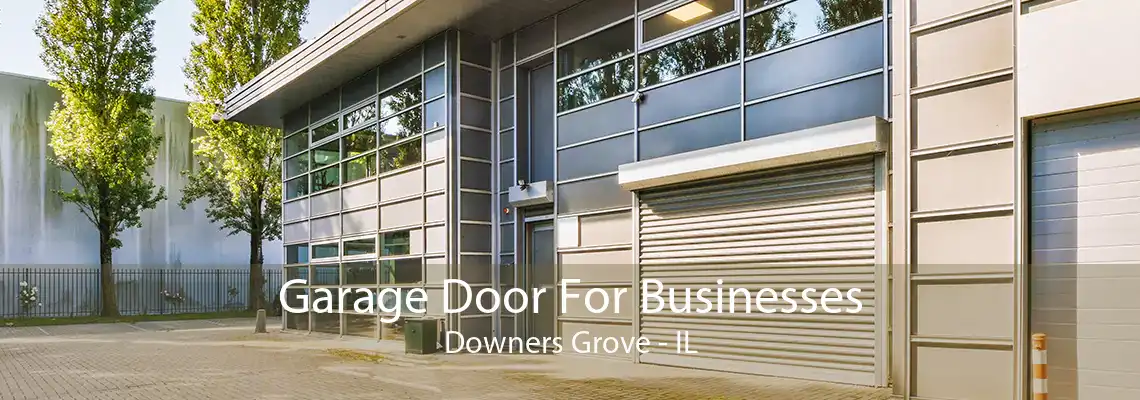 Garage Door For Businesses Downers Grove - IL