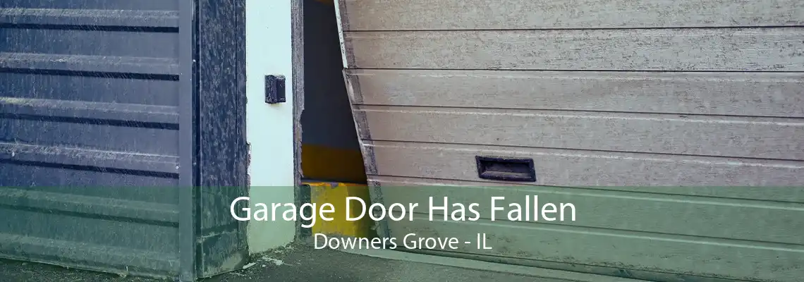 Garage Door Has Fallen Downers Grove - IL