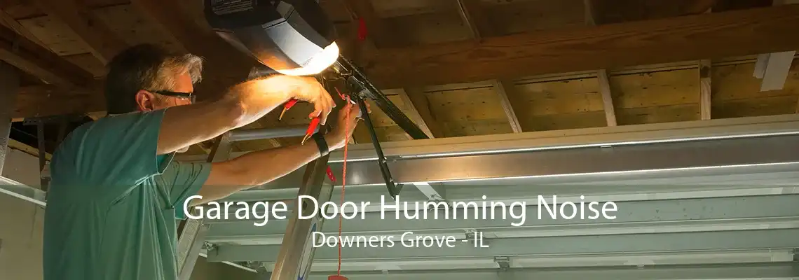 Garage Door Humming Noise Downers Grove - IL