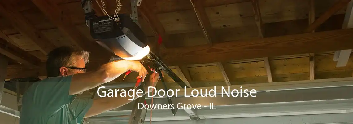 Garage Door Loud Noise Downers Grove - IL