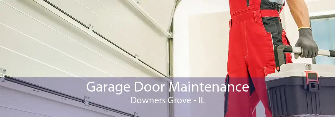 Garage Door Maintenance Downers Grove - IL