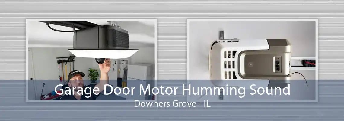 Garage Door Motor Humming Sound Downers Grove - IL