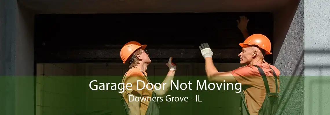 Garage Door Not Moving Downers Grove - IL