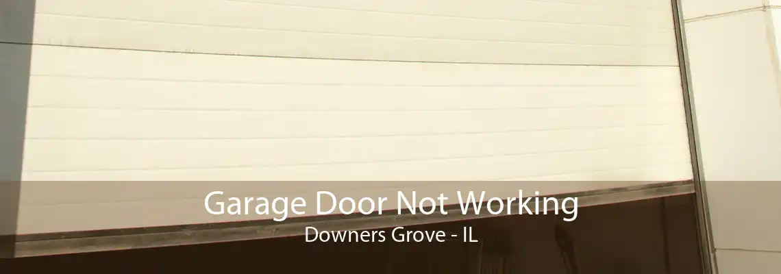 Garage Door Not Working Downers Grove - IL