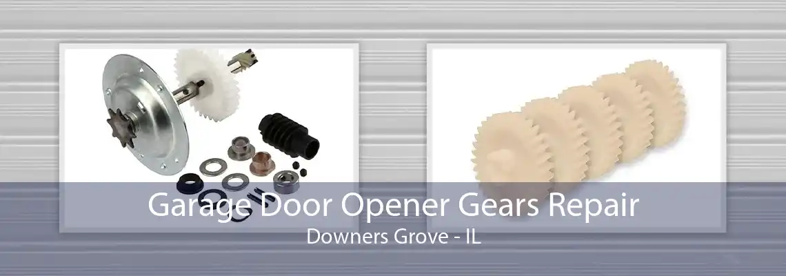 Garage Door Opener Gears Repair Downers Grove - IL