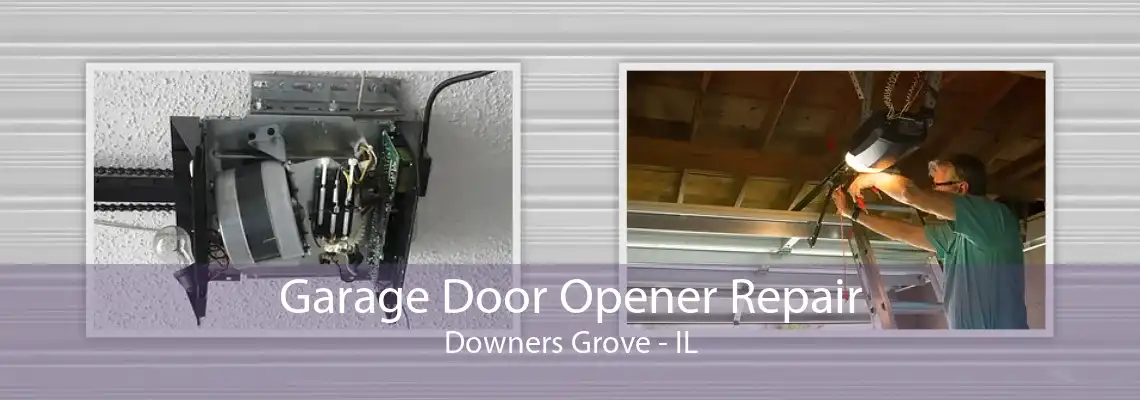 Garage Door Opener Repair Downers Grove - IL