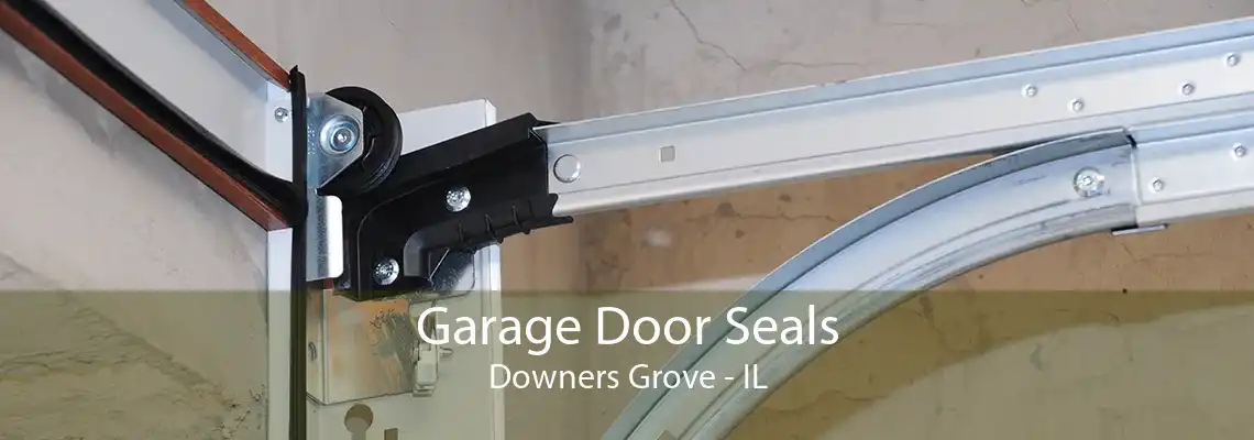 Garage Door Seals Downers Grove - IL