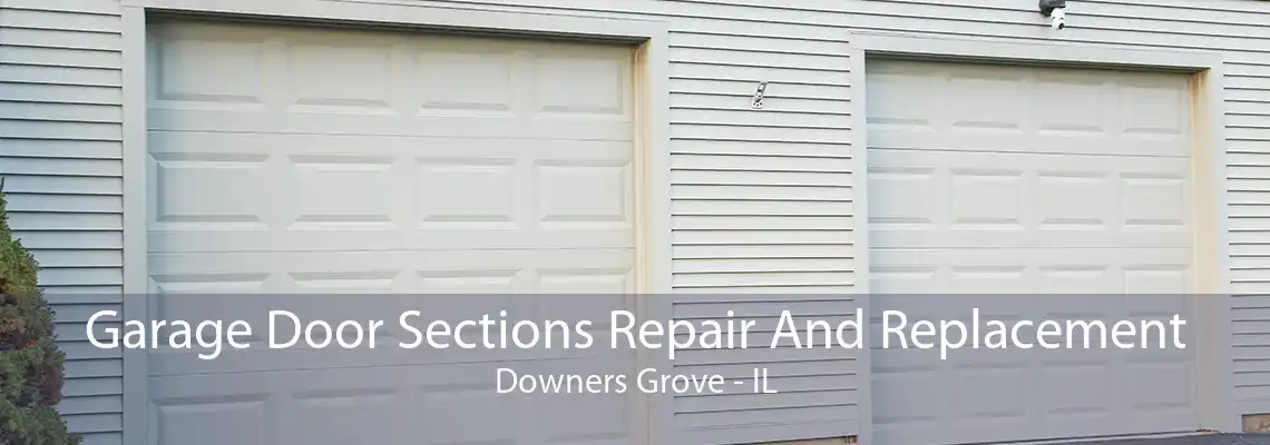 Garage Door Sections Repair And Replacement Downers Grove - IL