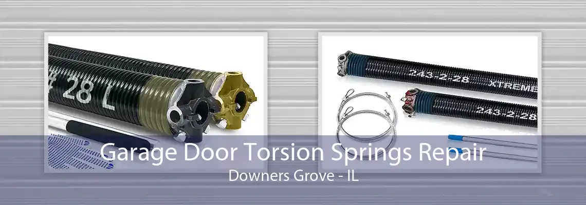 Garage Door Torsion Springs Repair Downers Grove - IL