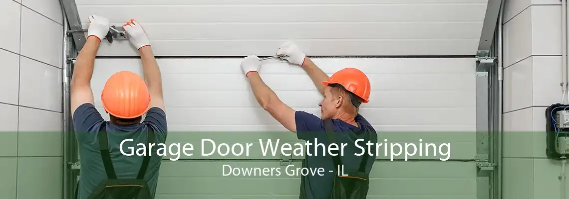 Garage Door Weather Stripping Downers Grove - IL