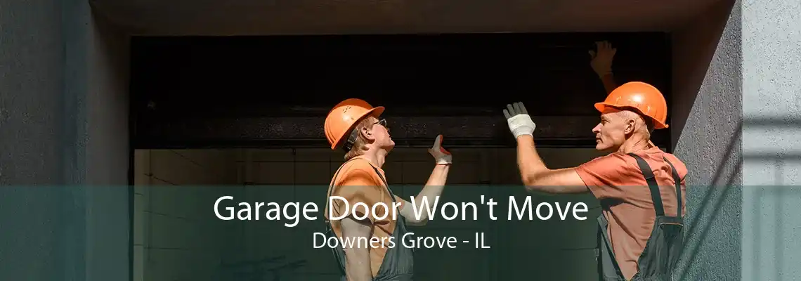 Garage Door Won't Move Downers Grove - IL