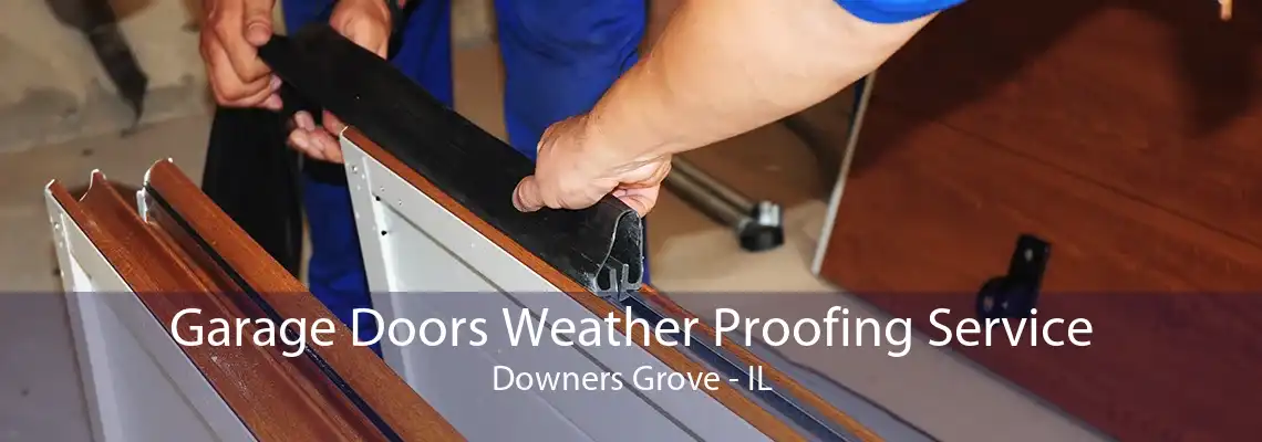 Garage Doors Weather Proofing Service Downers Grove - IL