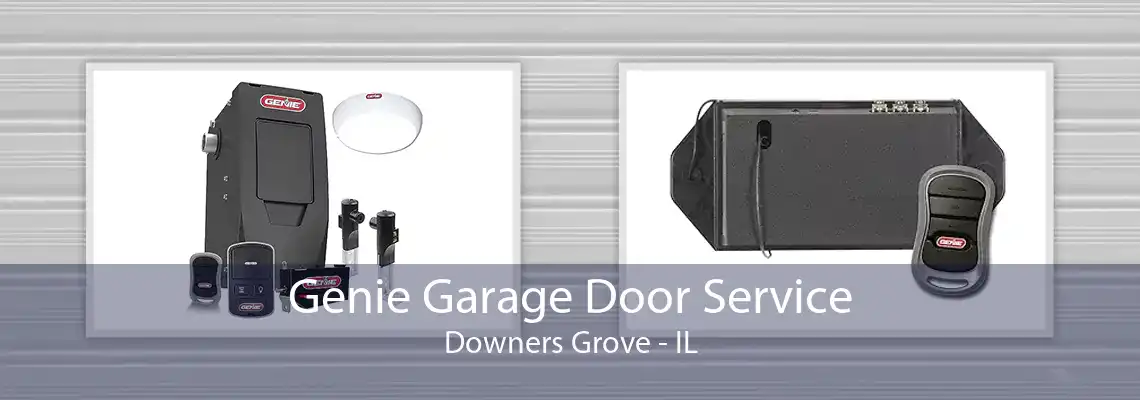 Genie Garage Door Service Downers Grove - IL