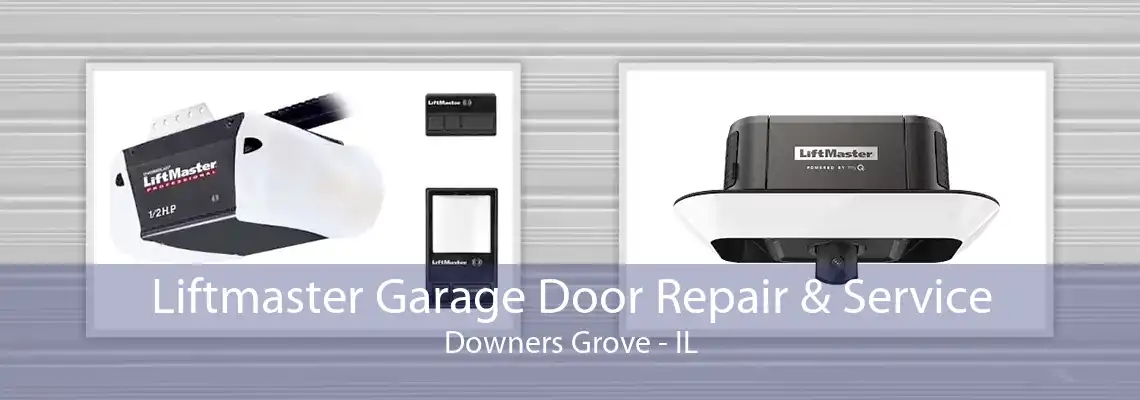 Liftmaster Garage Door Repair & Service Downers Grove - IL