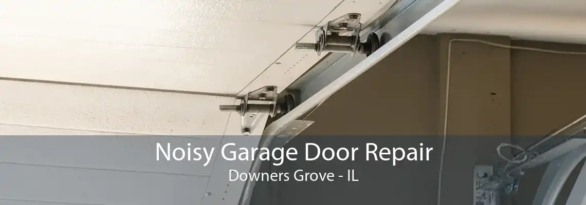 Noisy Garage Door Repair Downers Grove - IL