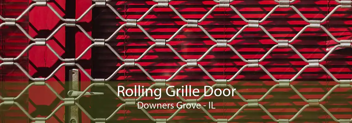 Rolling Grille Door Downers Grove - IL