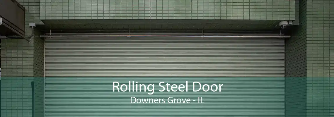 Rolling Steel Door Downers Grove - IL