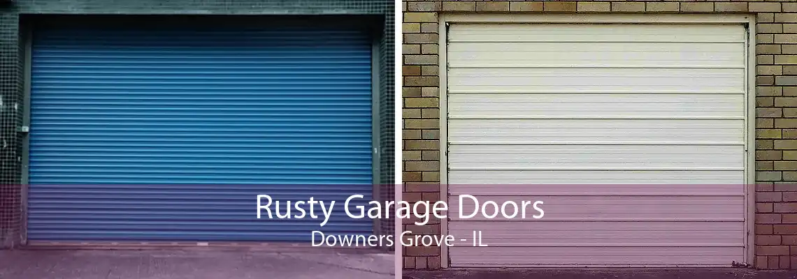 Rusty Garage Doors Downers Grove - IL