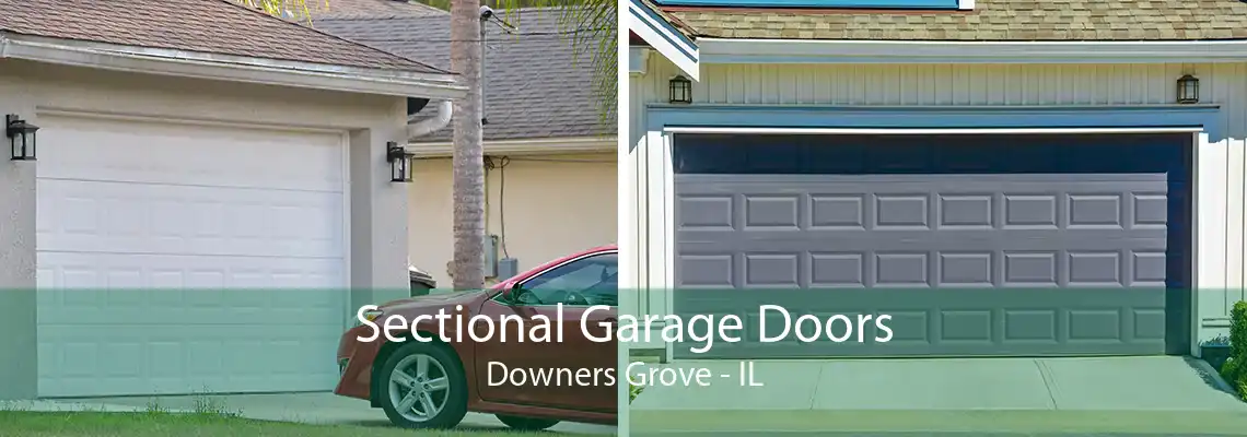 Sectional Garage Doors Downers Grove - IL